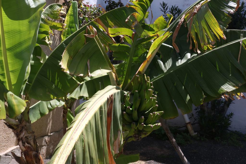 3C Fuerteventura Villa Costa Calma Ngoại thất bức ảnh